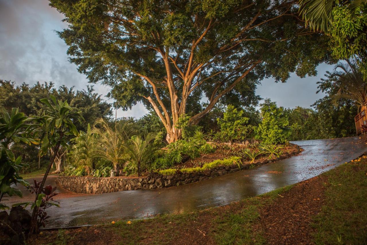 Banyan Tree Sanctuary Guest House Kalaoa ภายนอก รูปภาพ